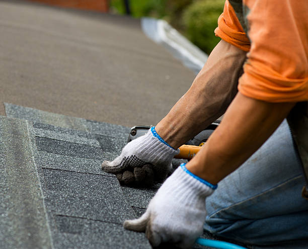 Best Roof Gutter Cleaning  in Owenton, KY